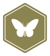Bee1-icon-community