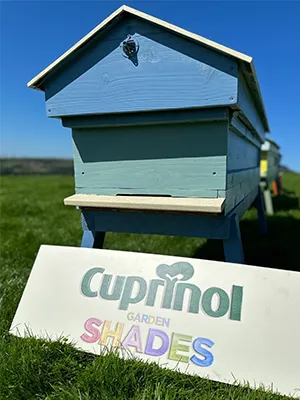 Cuprinol beehive